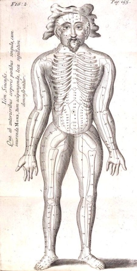 RHYNE, Willem ten (1647-1700). Dissertatio de arthritide: Mantissa schematica: De acupunctura: et orationes tres, I. De chymiae ac botaniae antiquitate & dignitate: II. De physiognomia: III. De monstris. London: R. Chiswell, 1683. [SGC RBK R.91]